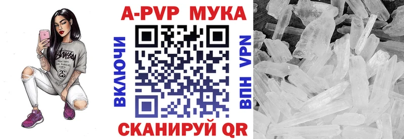закладки  Звенигово  Alfa_PVP мука 