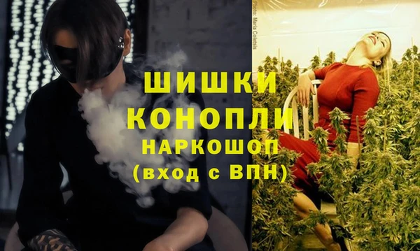 ПСИЛОЦИБИНОВЫЕ ГРИБЫ Алексеевка
