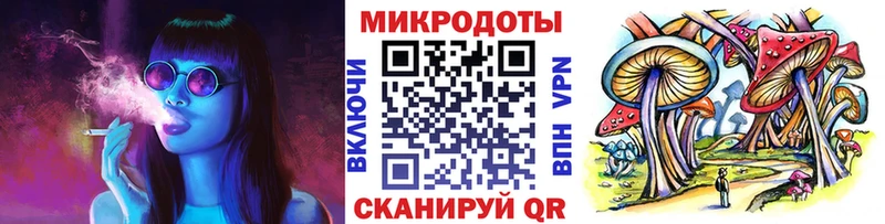 Псилоцибиновые грибы Psilocybe  Звенигово 