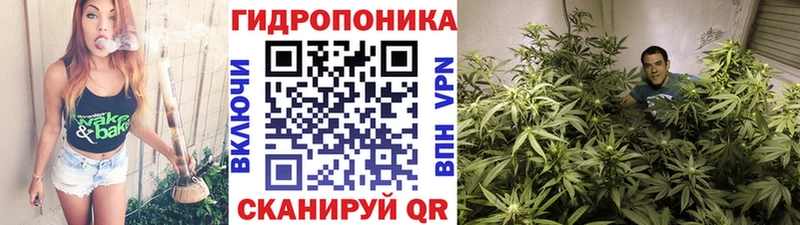 Бошки Шишки AK-47 Звенигово